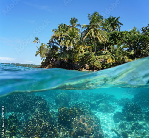 Fototapeta Naklejka Na Ścianę i Meble -  Tropical island with corals underwater
