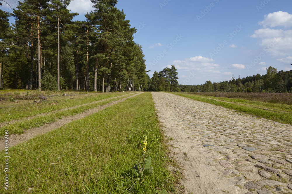 Lüneburger Heide - Kopfsteinpflasterstrasse bei Egestorf Lüneburger Heide - Kopfsteinpflasterstrasse bei Egestorf