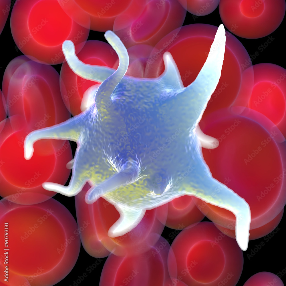 red blood cells,activated platelet and white blood cells microscopic ...
