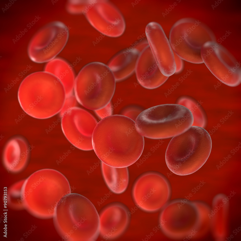 red blood cells illustration of  microscopic photos