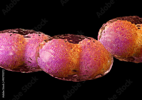 Smallpox Cell photo