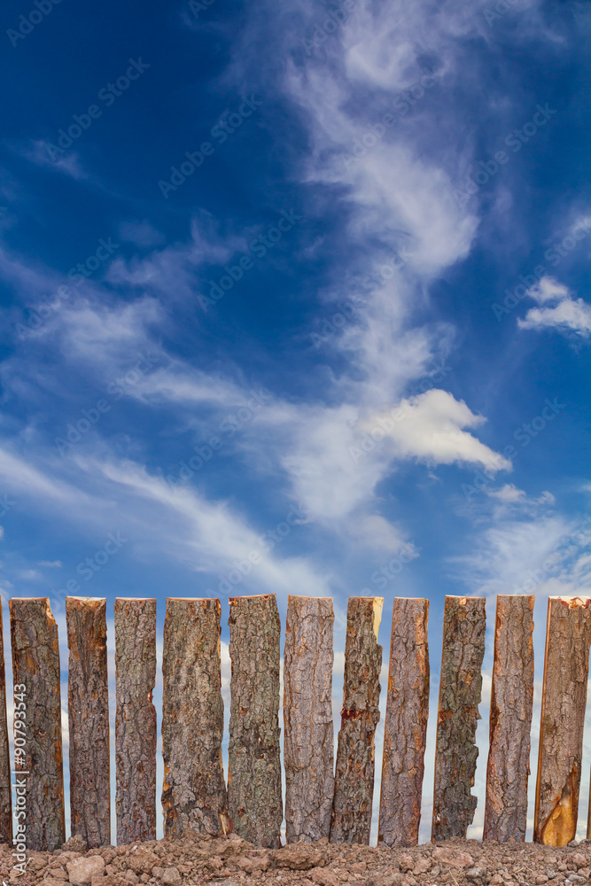 Fototapeta premium Poles bark blue cloud