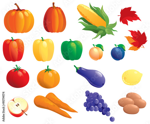 Fruits  and vegetables. Vector set of many fruits  and vegetables isolated on white background 