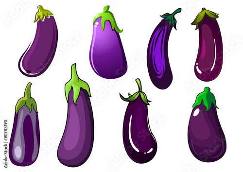 Organic fresh purple eggplant vegetables
