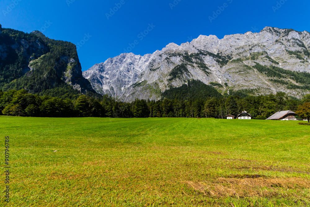 View of Alp mountains and green field from Konigsee, Germany