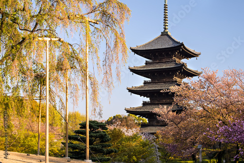 Kyoto, Japan at Toji temple in summer photo