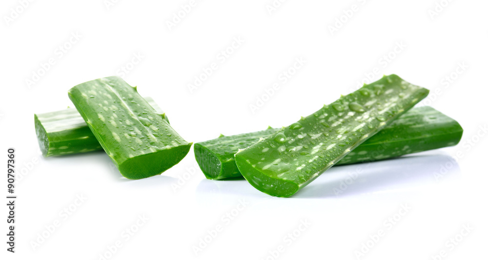aloe vera fresh leaf isolated white background aloe vera fresh leaf isolated white background