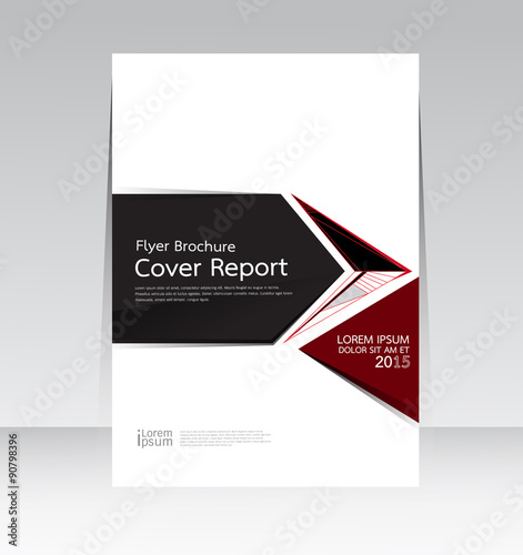 Vector design for Cover Report Annual Brochure Flyer in A4 size