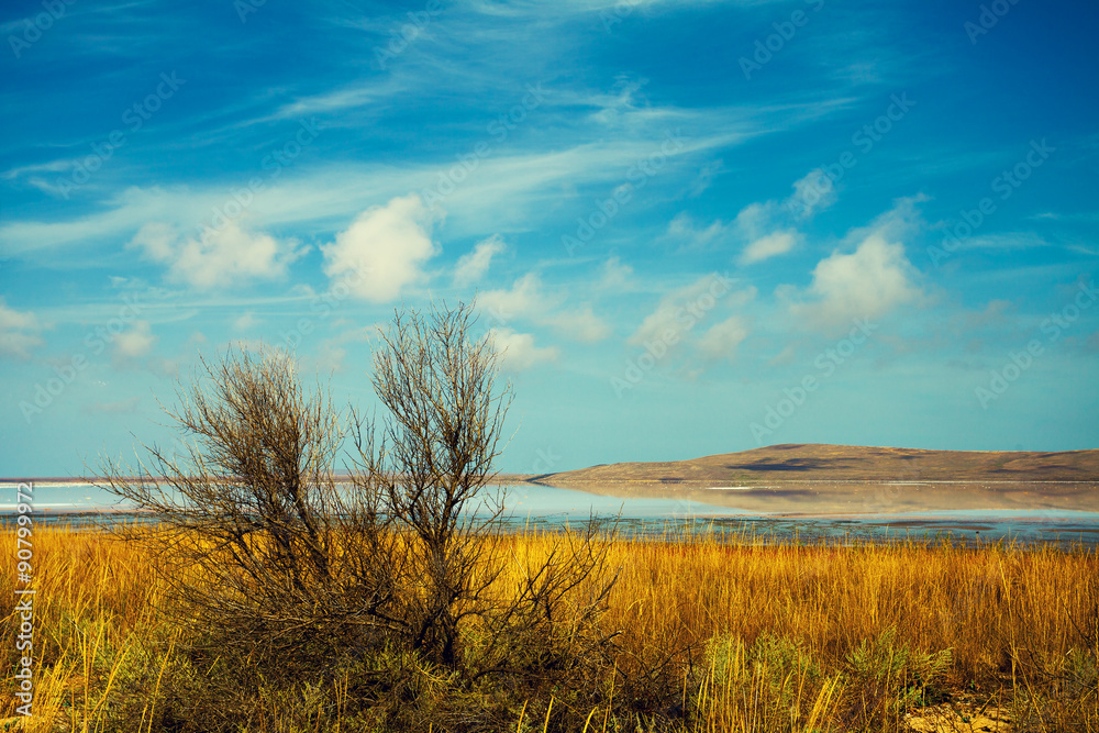 Fototapeta premium Beautiful desert landscape with lake