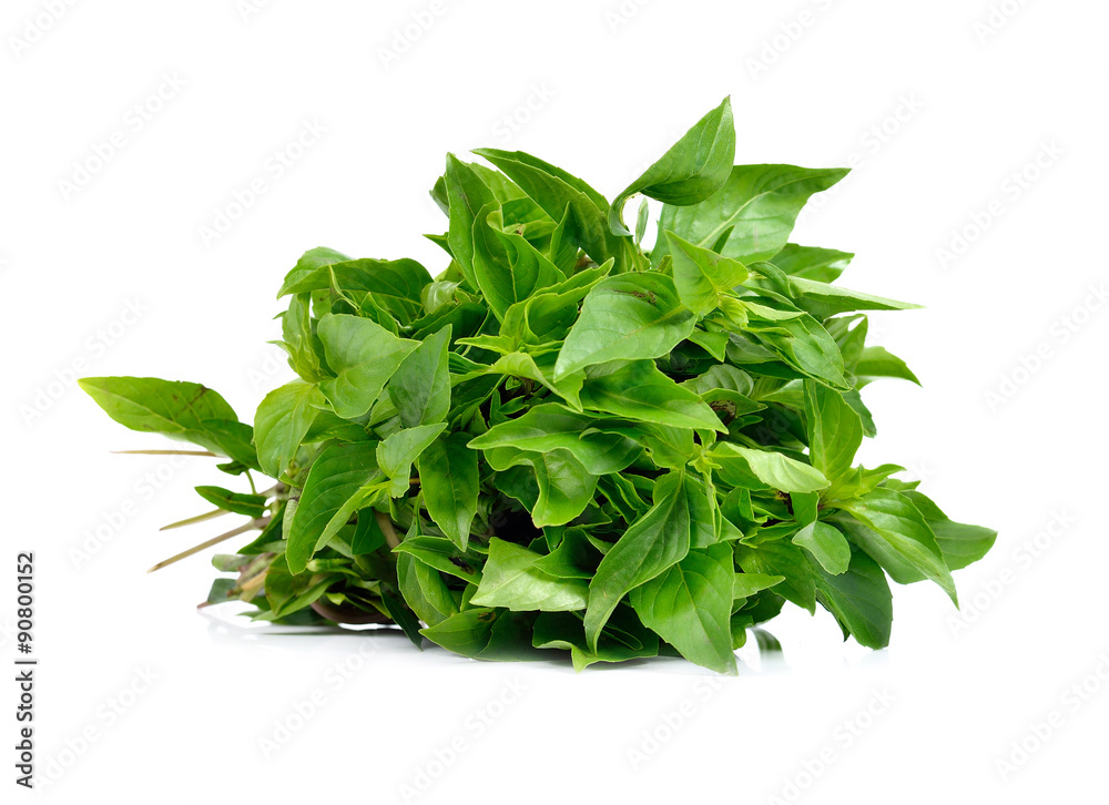 Obraz premium Basil leaves isolated on white background.