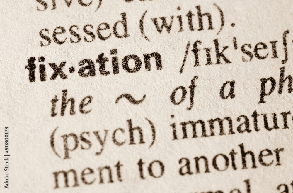 Dictionary definition of word fixation