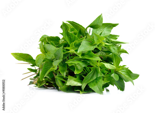 Basil leaves isolated on white background.