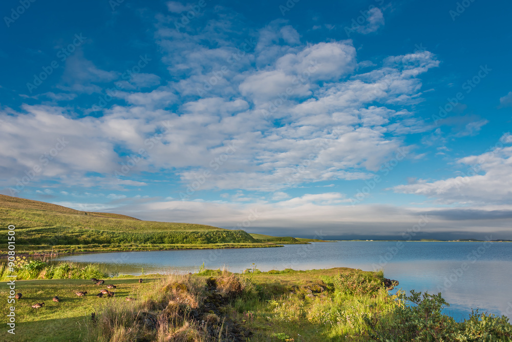 Icelandic natural landscape at summer time Icelandic natural landscape at summer time