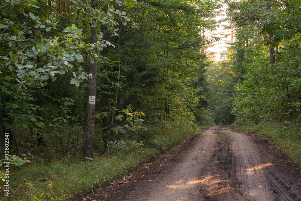 Fototapeta premium red bicycle trail sign on pine tree.