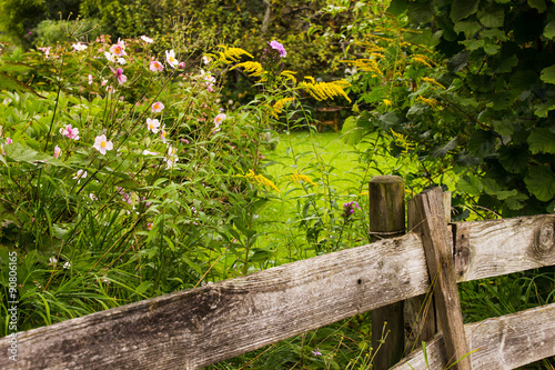 rustikaler Zaun an wildem garten