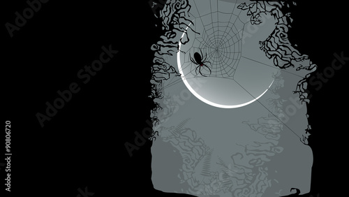 Halloween background - spider on cobweb