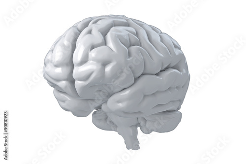 3D Human Brain Isolated Illustration. Science Anatomy Background.