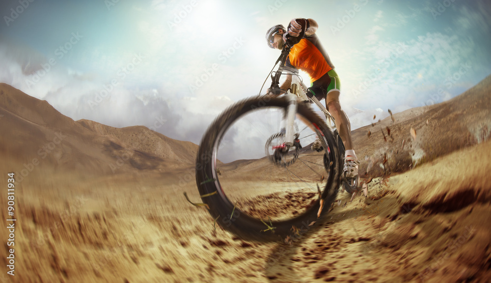 Obraz premium Sport. Mountain Bike cyclist riding single track in desert 