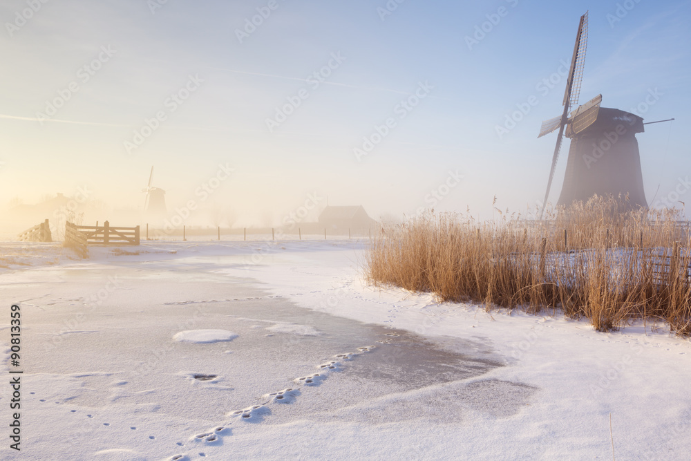 Fototapeta premium Dutch windmills in a foggy winter landscape in the morning