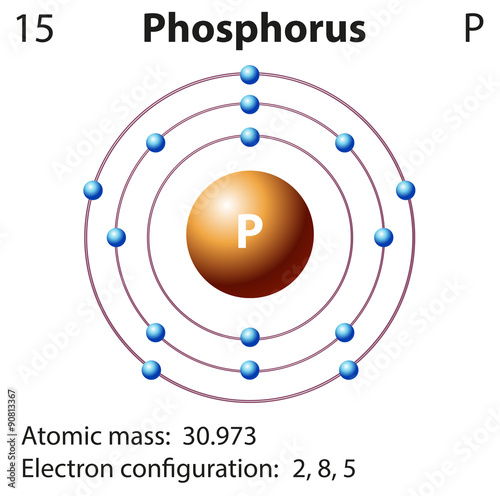 Diagram representation of the element phosphorus