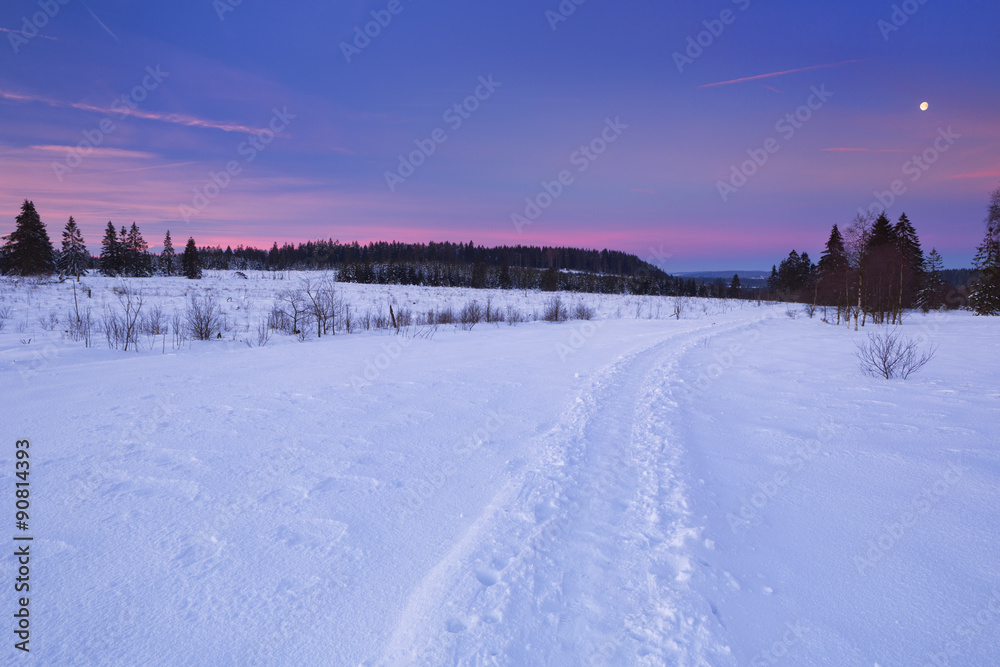 The Hautes Fagnes in Belgium in winter at sunrise The Hautes Fagnes in Belgium in winter at sunrise