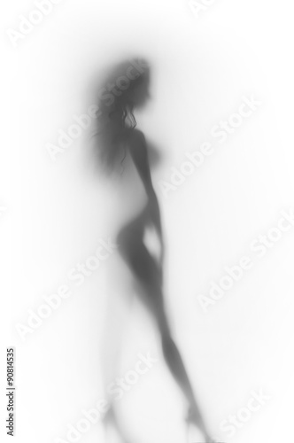 Sexy woman body silhouette #90814535