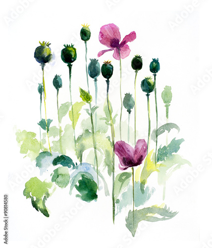 Red poppies composition. Flower backdrop. Watercolor hand drawn illustration.