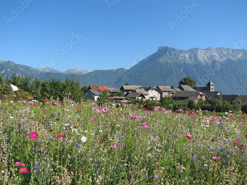 Village de Villard Léger  , en Savoie , France . photo