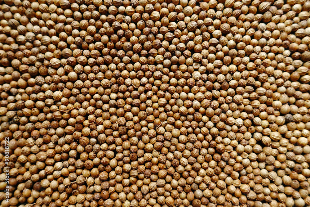 closeup background of pepper seeds. closeup background of pepper seeds.