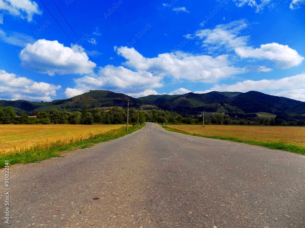 Asphalt road between fields, mountains and sky.