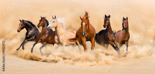 Fototapeta Naklejka Na Ścianę i Meble -  Horse herd run in desert sand storm