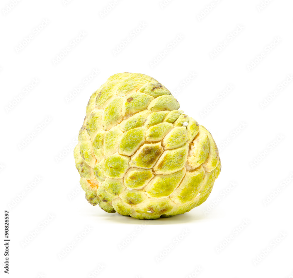 Obraz premium custard apple
