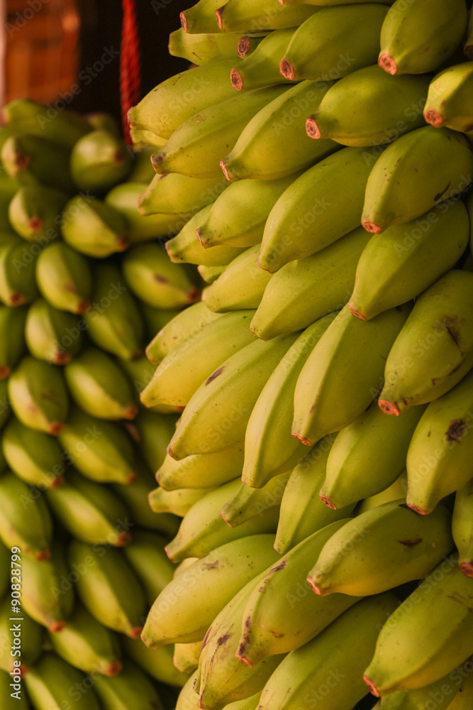 Bananenstaude, Sri Lanka Bananenstaude, Sri Lanka