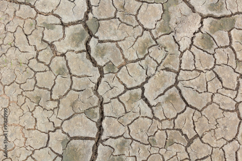 Ground cracked from dehydration.
