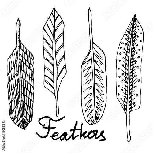 Hand drawn ink black and white  vector feathers set for your design and decoration.