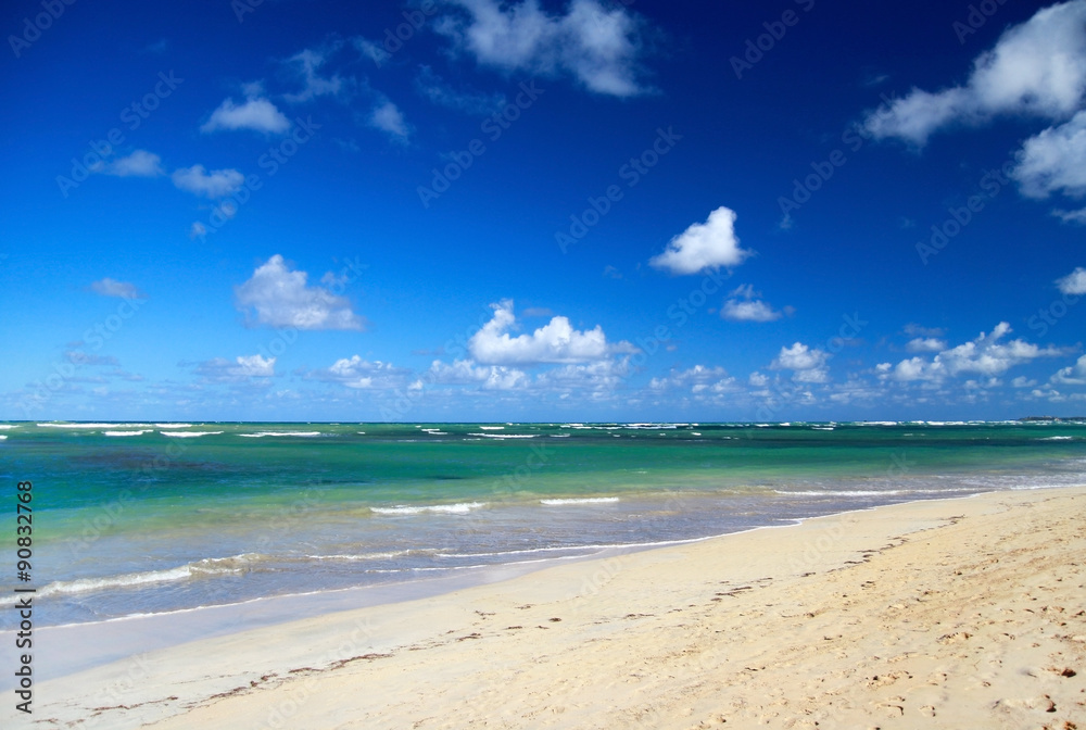 Tropical sandy beach on caribbean sea
