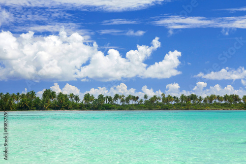 Palms on caribbean sea coastline © photopixel