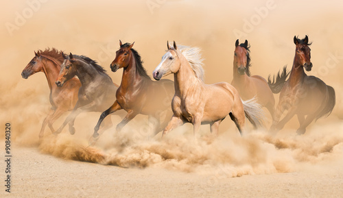 Horse herd run in desert sand storm