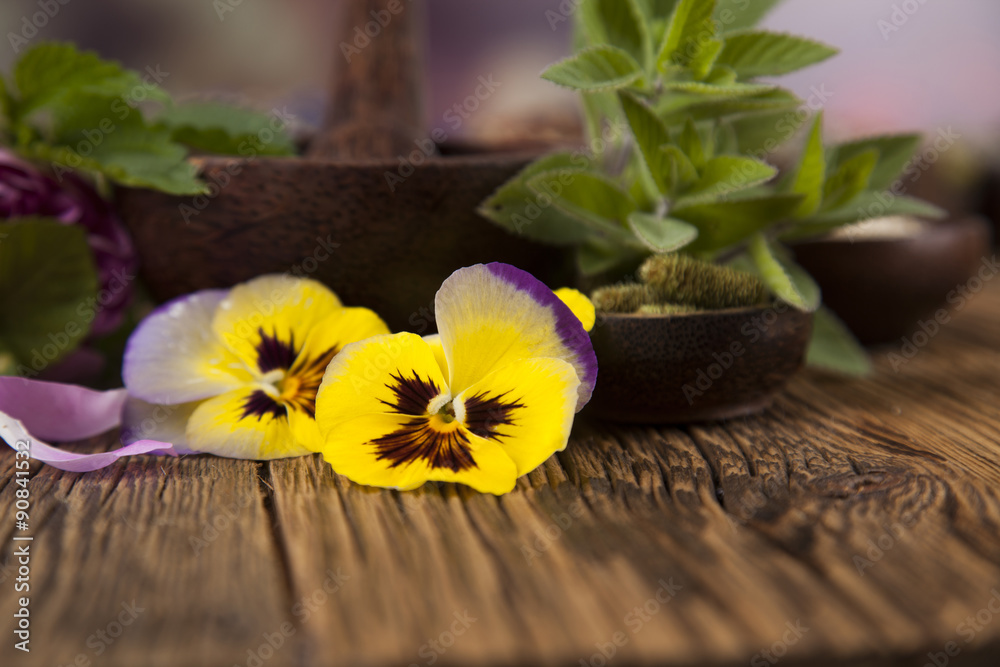 Fresh medicinal herbs on wooden background Fresh medicinal herbs on wooden background