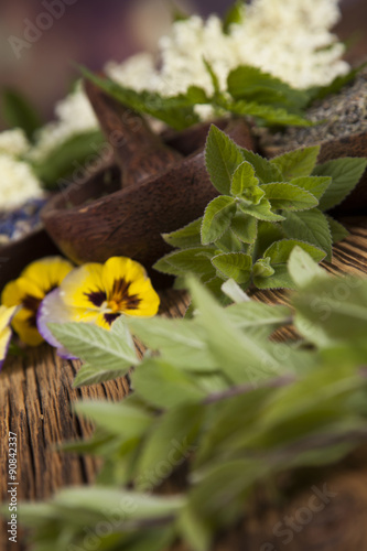 Fresh medicinal herbs on wooden background