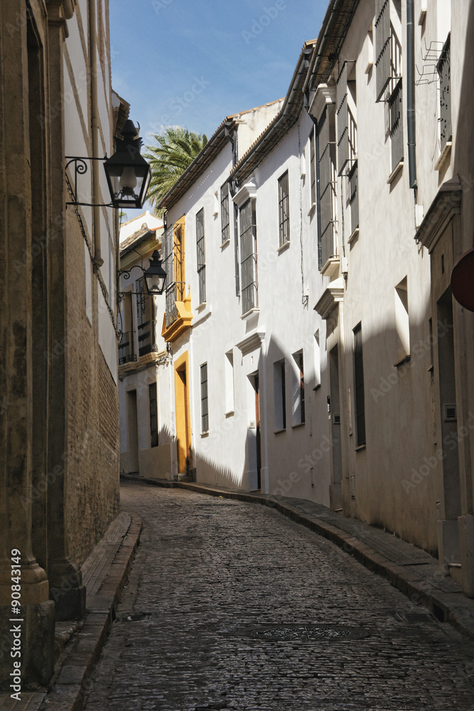 Fototapeta premium calles del casco histórico de la ciudad de Córdoba, Andalucía