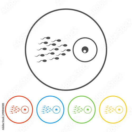 Sperm and egg cells thin line icon