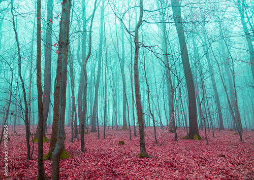 Mystischer Wald in rot und türkis