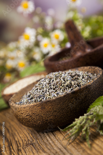 Assorted natural medical, herbs and mortar