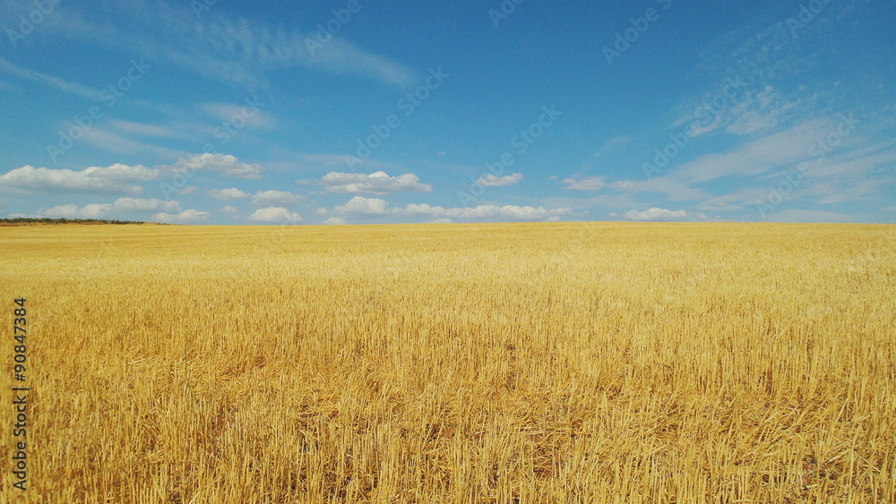 Alentejo field and clouds in sky