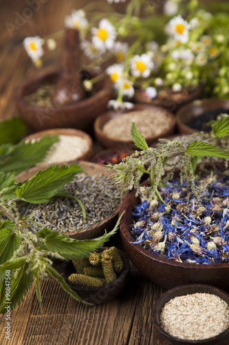 Assorted natural medical, herbs and mortar