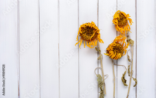 Fototapeta Naklejka Na Ścianę i Meble -  Dried flowers of sunflower on the light wooden background