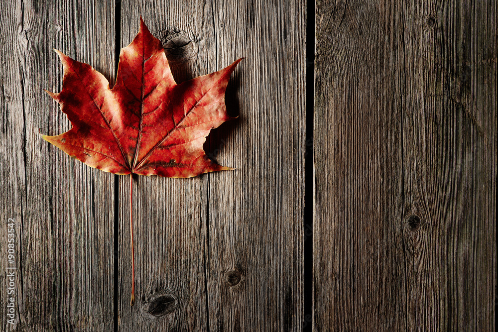 Autumn maple leaf over wooden background Autumn maple leaf over wooden background