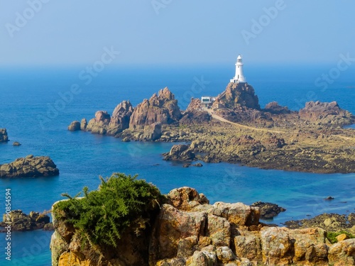 Field plant in the foreground and La Corbiere Lighthouse in a haze as background. Jersey Island, Channel Islands. Selective focus