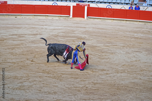 Bullfighting show at its height